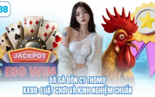 đá gà đòn c1 thomo