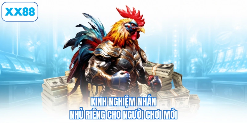 Kinh nghiệm nhắn nhủ riêng cho người chơi mới